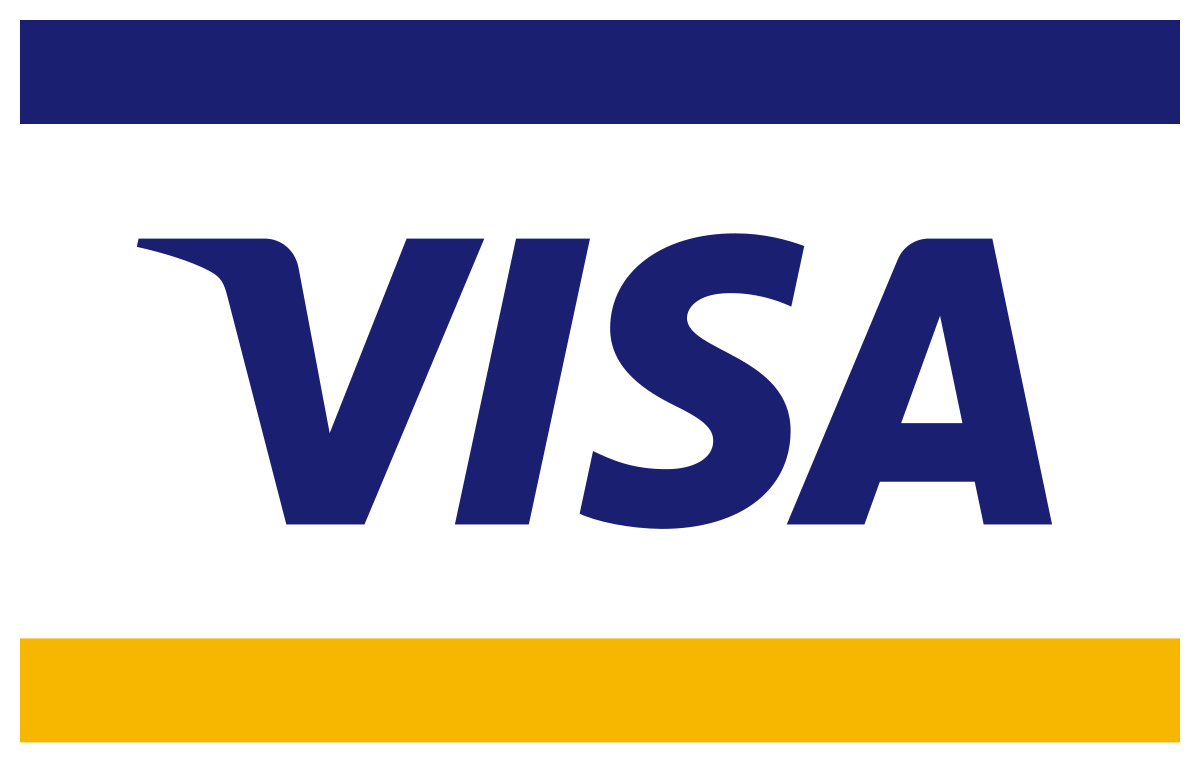 Visa Payment icon